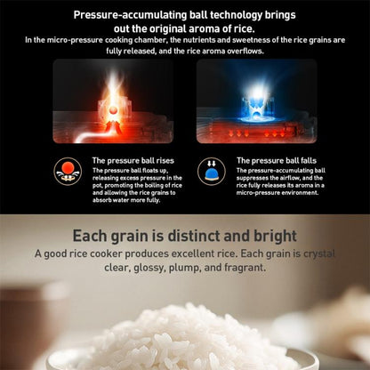 EDA0086076_B3.jpg@f75fc3f2d7bc2c74e98ea03ae4458b62