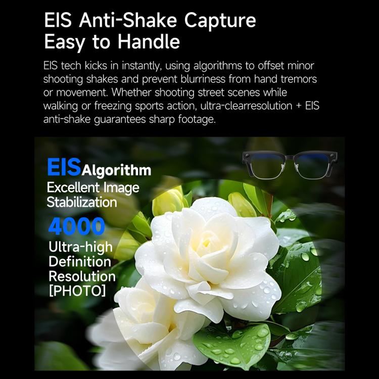 EDA0087733_B6.jpg@4d739e8b4f1e5771df0bf76a860bf3bb