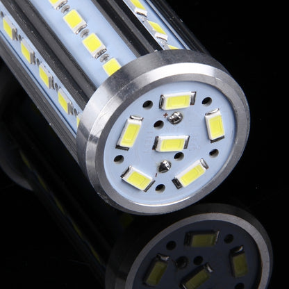 LED1020WL_5.jpg@15612cb84a6bcd2c850277273ea831d9