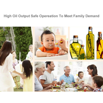 Manual Peanut Nuts Seeds Oil Press Expeller Oil Extractor Machine(Silver) by bashfashion