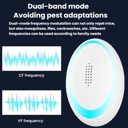 TBD06062364_B6.jpg@c9637ae6aee9d5ccc554630642b9ea3e